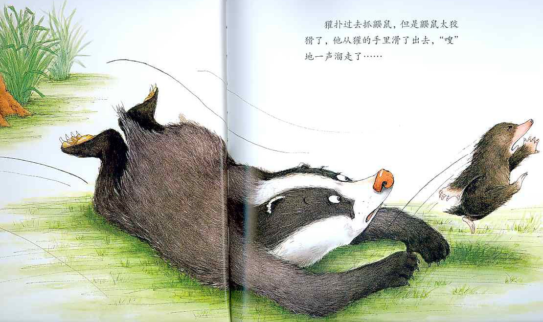 獾的美餐 (05),绘本,绘本故事,绘本阅读,故事书,童书,图画书,课外阅读